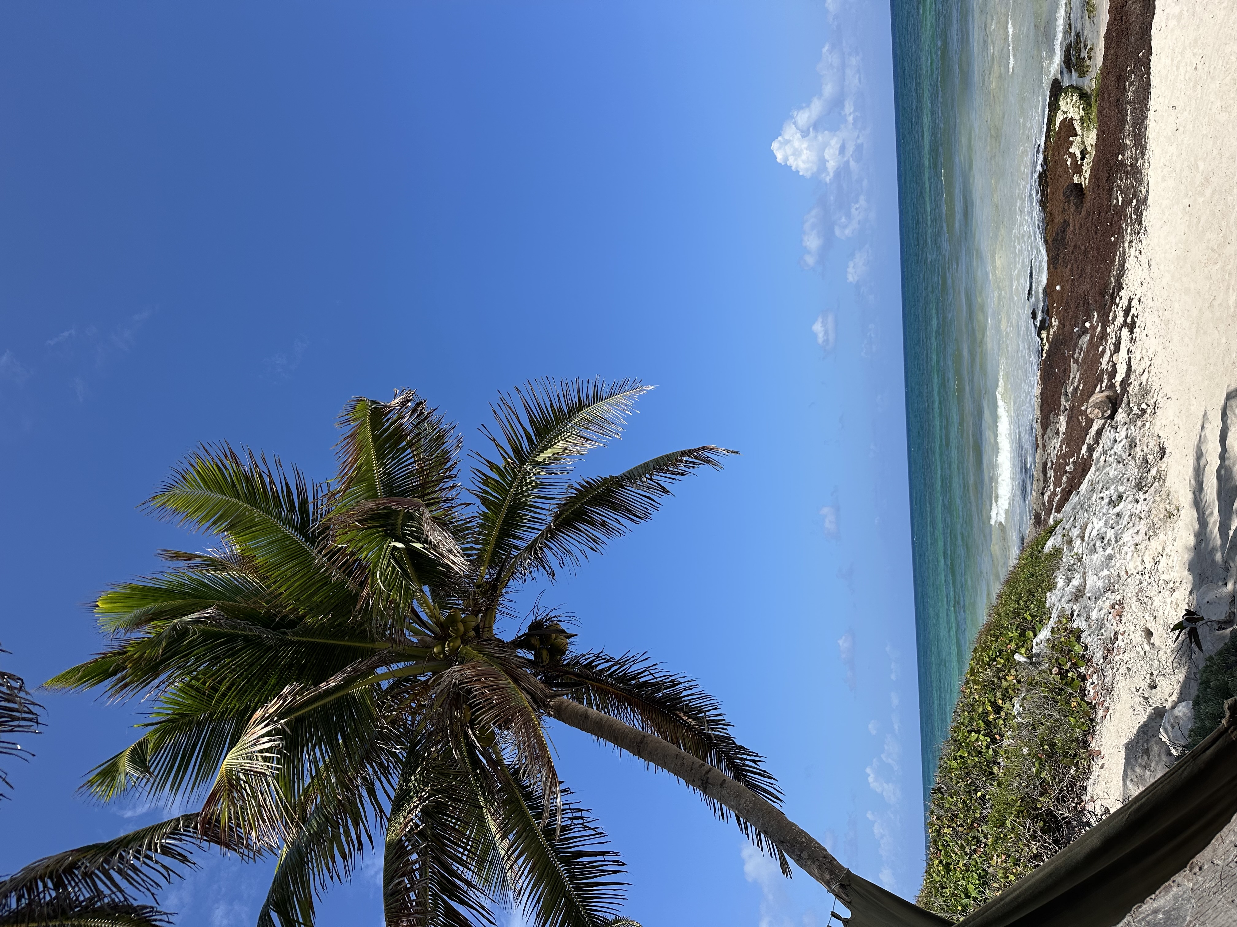 I never “planned” for my life to look like this…