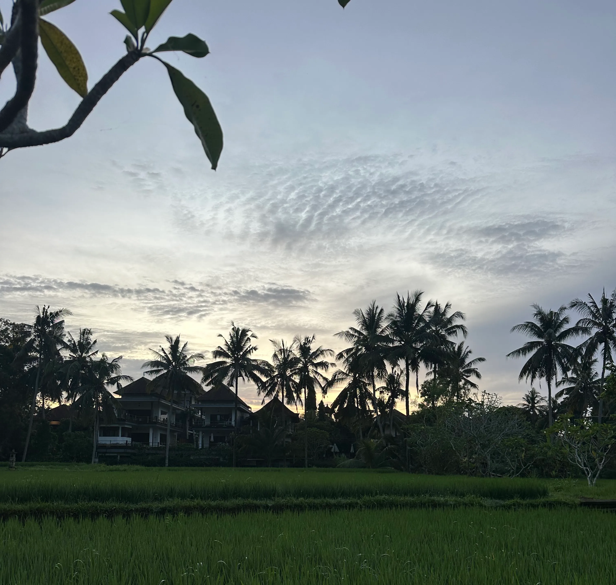 Bali YTT, February 2025